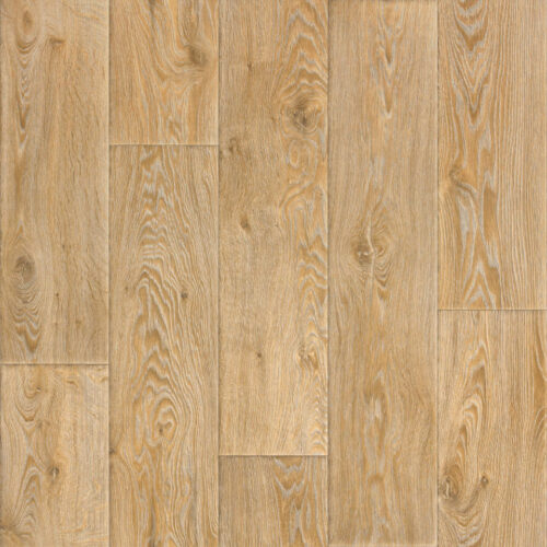 Linoleum Evolution Raymond 2