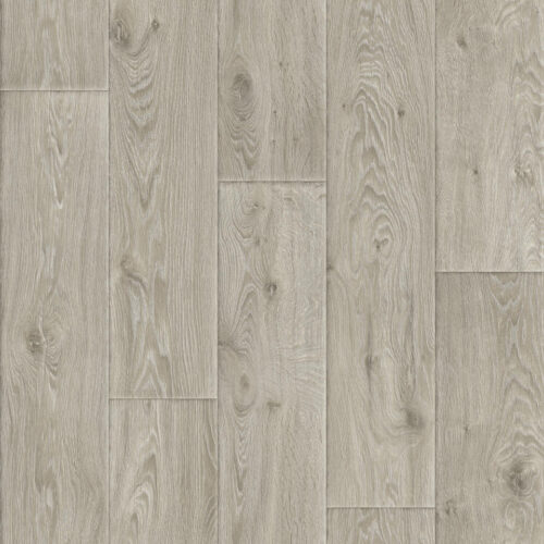 Linoleum Evolution Raymond 7